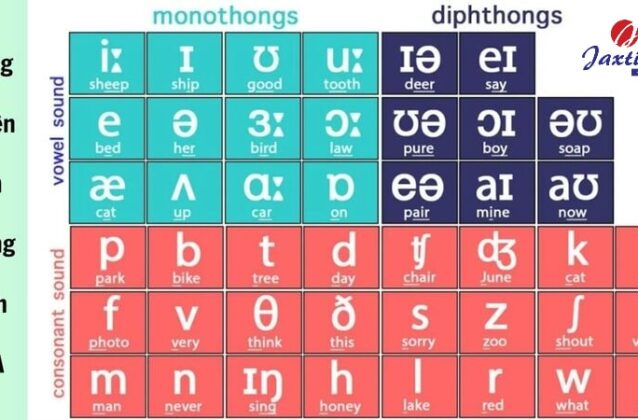 Cách đọc bảng phiên âm Tiếng Anh IPA chuẩn quốc tế