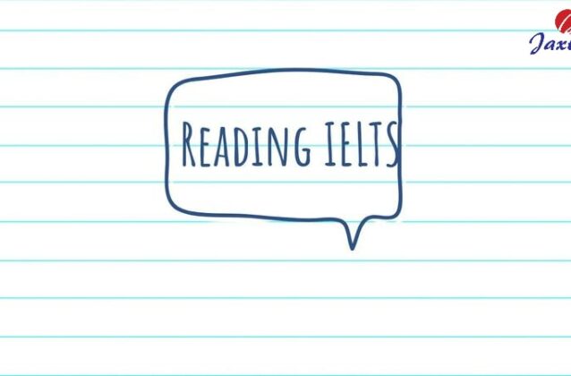 3 cách luyện Reading IELTS hiệu quả phải áp dụng ngay