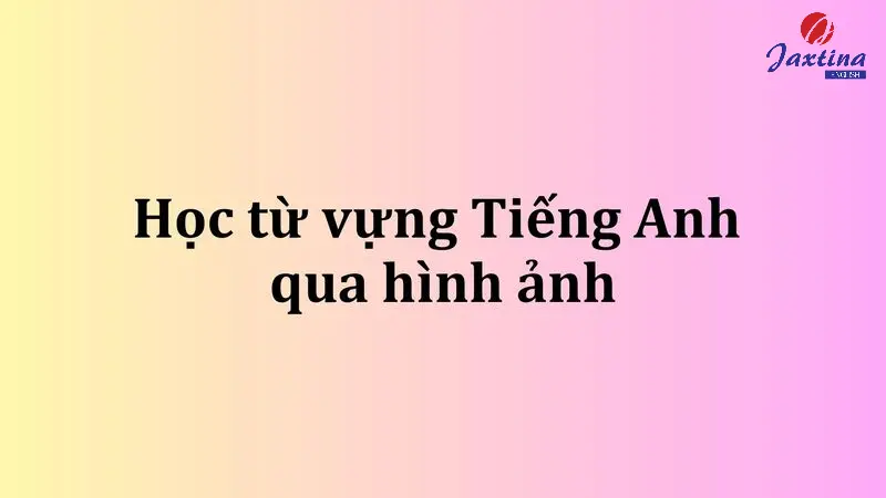 Học từ vựng Tiếng Anh qua hình ảnh theo chủ đề cực hiệu quả