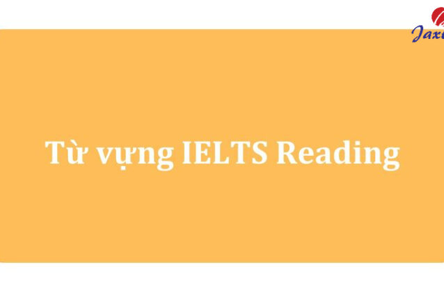 200+ từ vựng IELTS Reading theo chủ đề thường gặp nhất