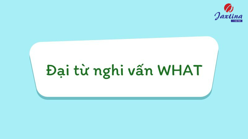 Đại từ nghi vấn