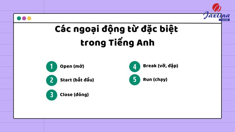 ngoại động từ tiếng anh