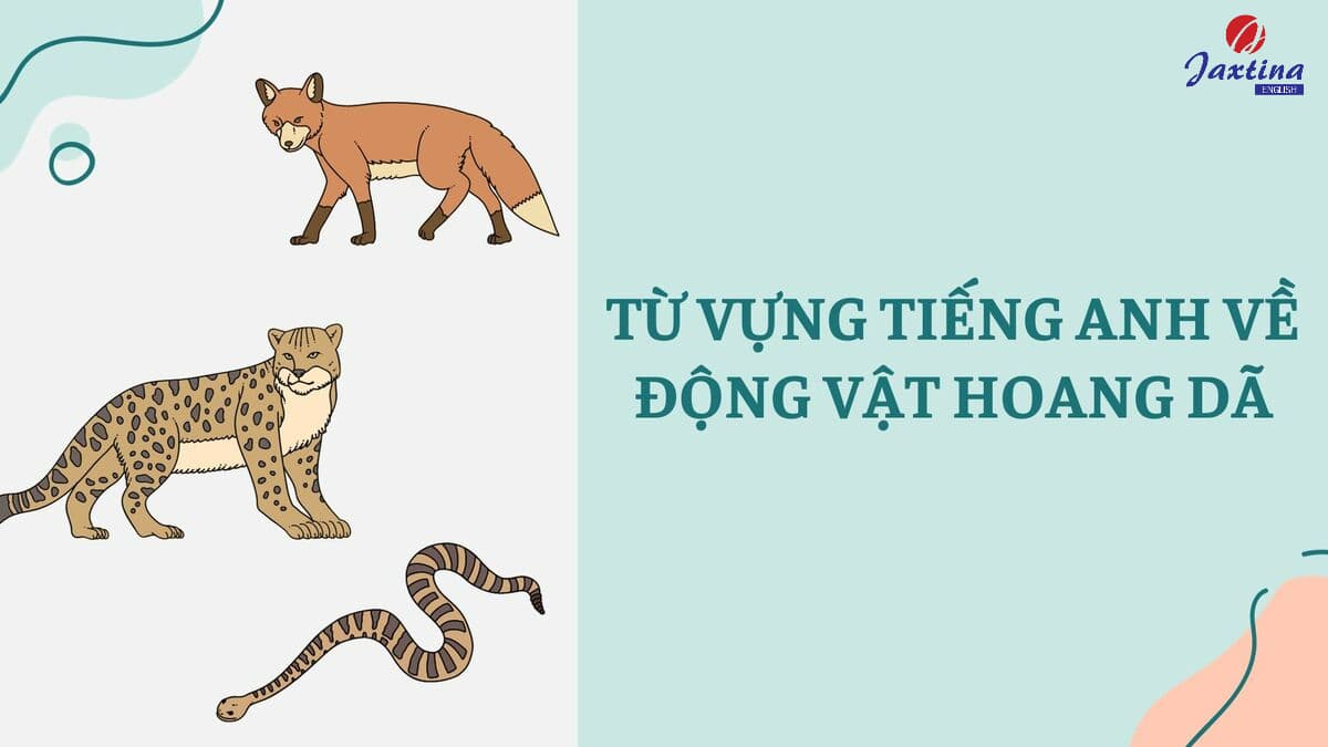 từ vựng tiếng anh về động vật