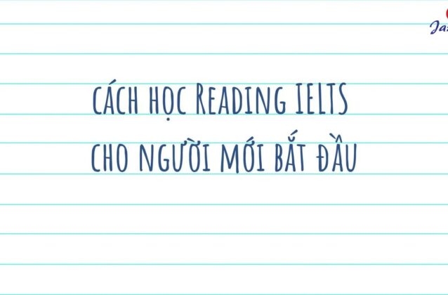 Cách học Reading IELTS cho người mới bắt đầu xây dựng nền tảng