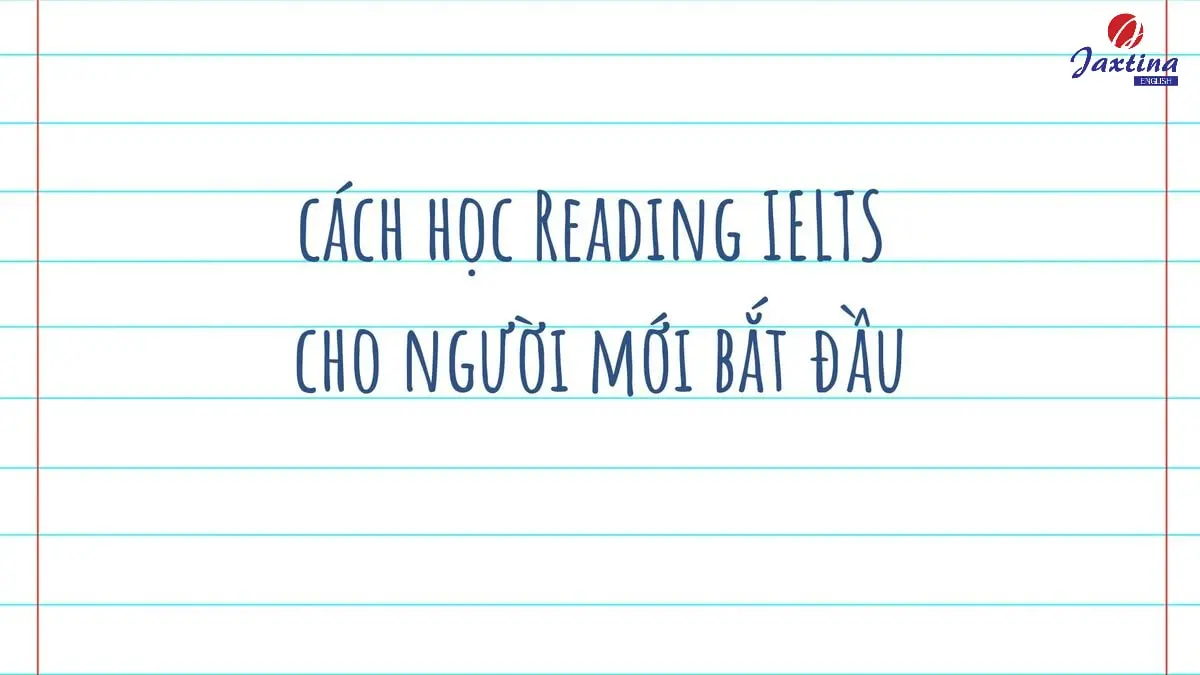 Cách học Reading IELTS cho người mới bắt đầu xây dựng nền tảng