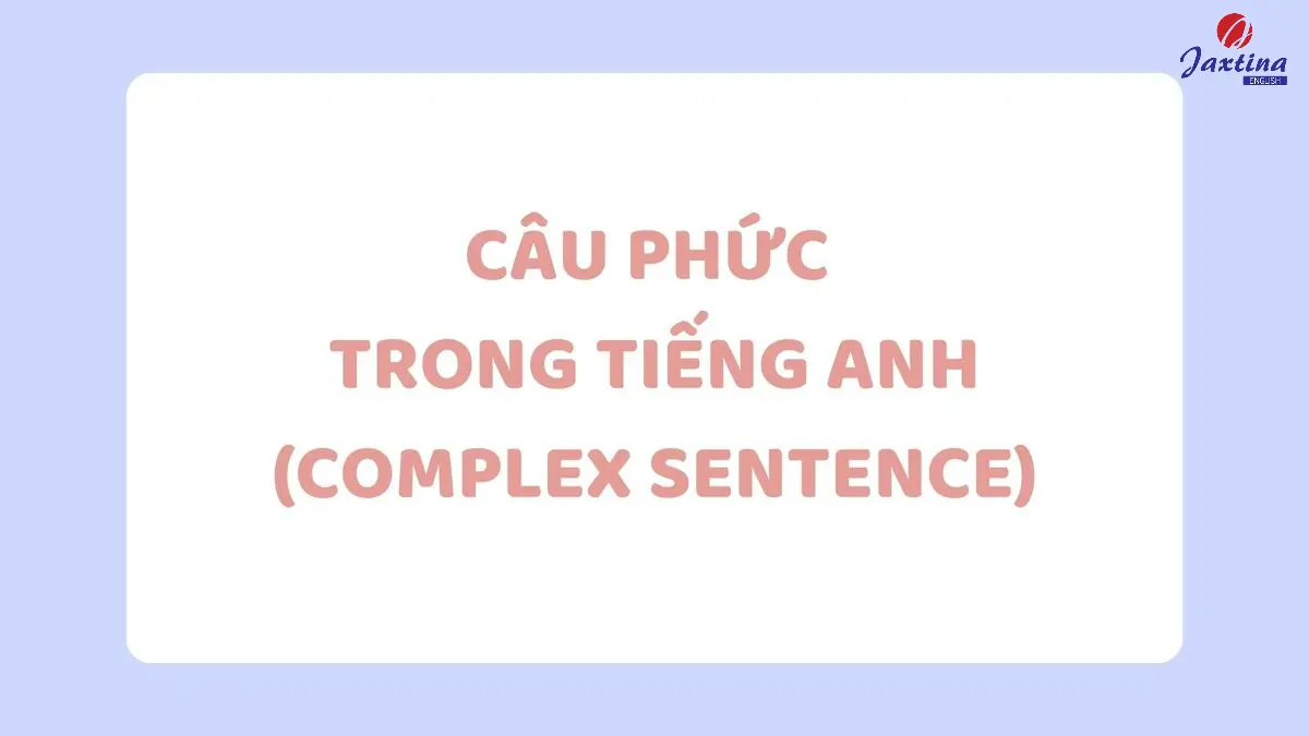 Câu phức trong Tiếng Anh là gì? Các loại câu phức Tiếng Anh