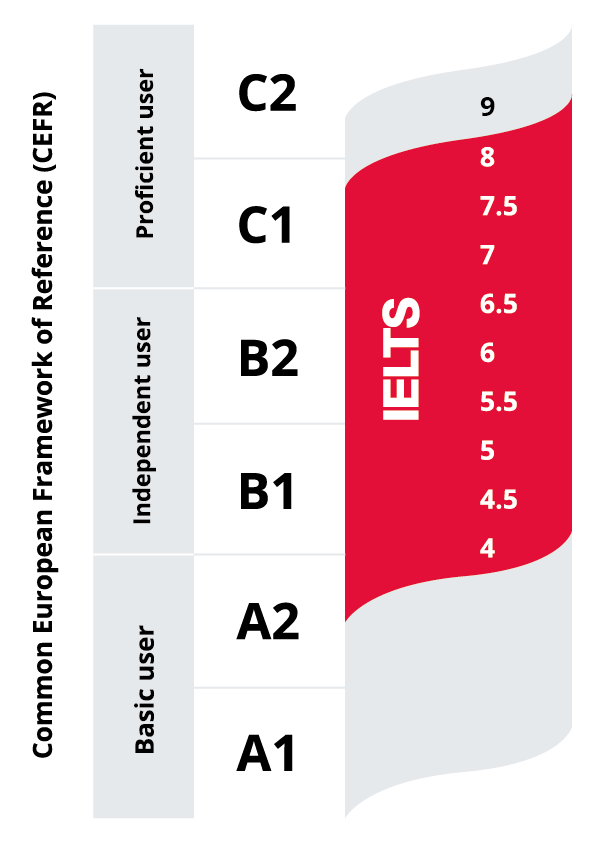 học ielts cho người mới bắt đầu