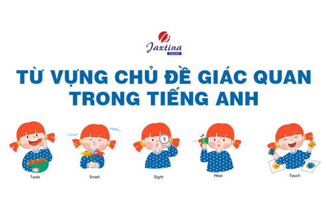 Từ vựng các giác quan trong tiếng Anh và ví dụ