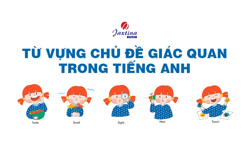 Từ vựng các giác quan trong tiếng Anh và ví dụ